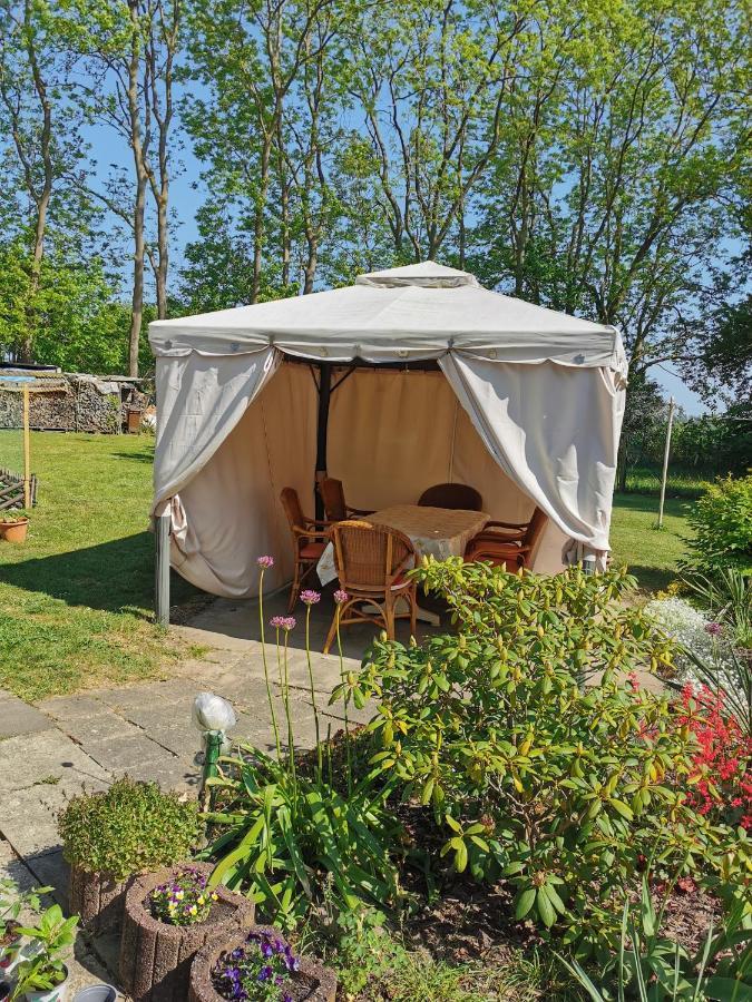 Ferienwohnung Am Stadtrand Garz Ruegen 外观 照片